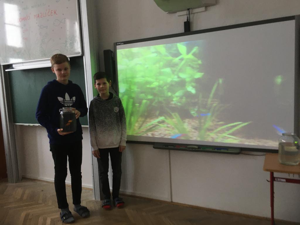 Projekt Máme rádi zvířata: Můj domácí mazlíček, 2. 2. 2023