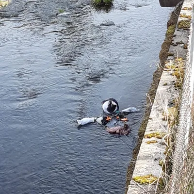 Loučení se zimou v přípravné třídě, 29. 3. 2023