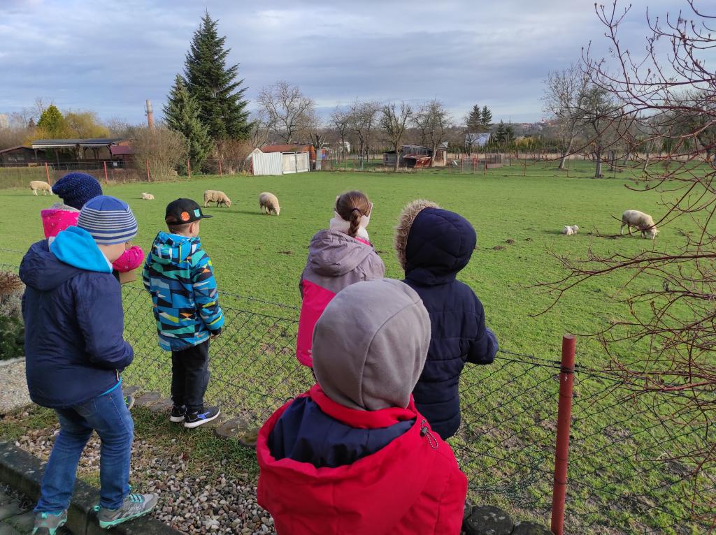 Návštěva jarní výstavy v SeniorCentru Skuteč spojená s předáváním přáníček klientům, 31. 3. 2023