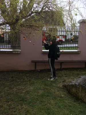 Praktické činnosti: Zdobení vajíčkovníku vlastními kraslicemi, 4. 4. 2023