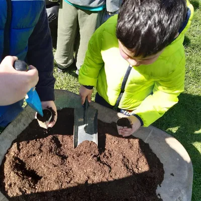V přípravné třídě máme zaseto, 21. 4. 2023