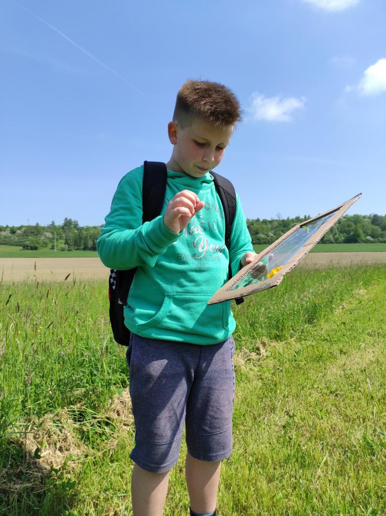 Badatelská výuka v přírodě, 25. 5. 2023