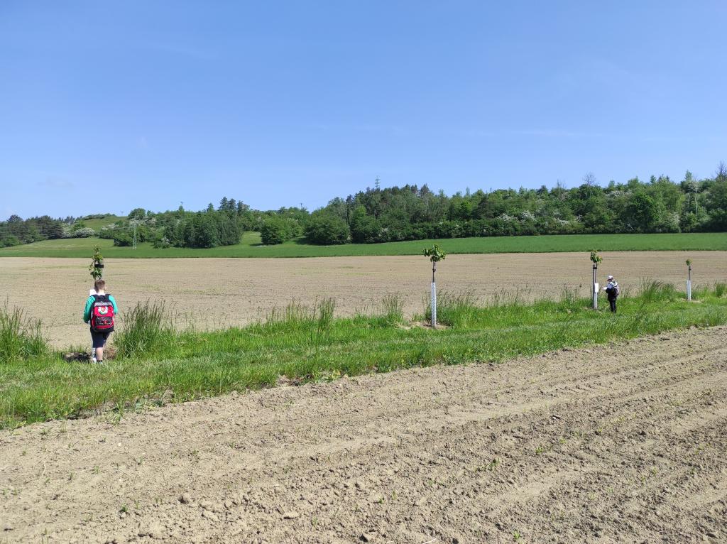Badatelská výuka v přírodě, 25. 5. 2023