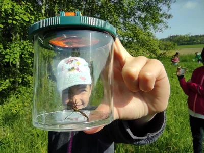 Badatelská výuka v přírodě, 25. 5. 2023