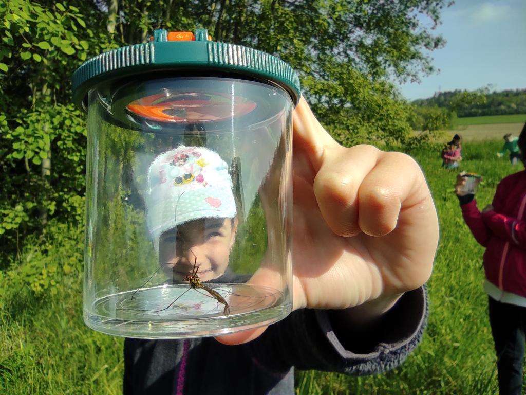 Badatelská výuka v přírodě, 25. 5. 2023