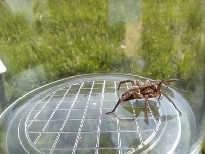 Badatelská výuka v přírodě, 25. 5. 2023