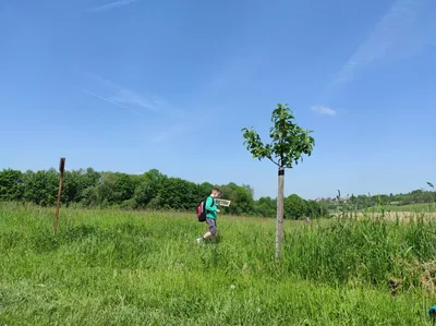 Badatelská výuka v přírodě, 25. 5. 2023