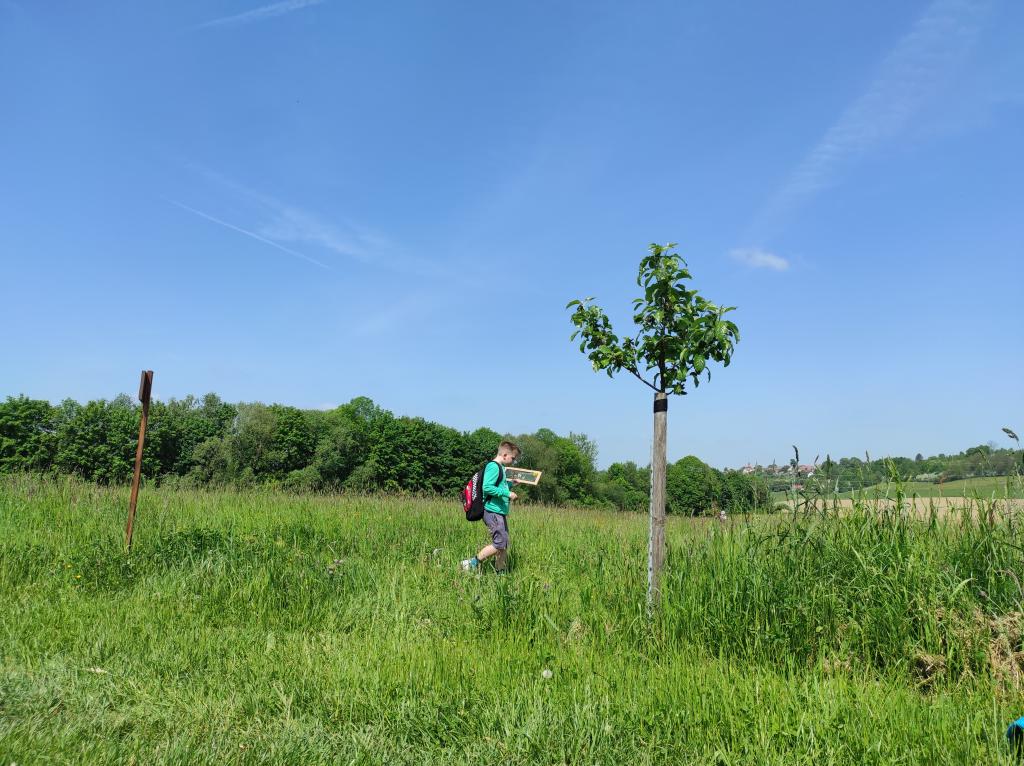 Badatelská výuka v přírodě, 25. 5. 2023