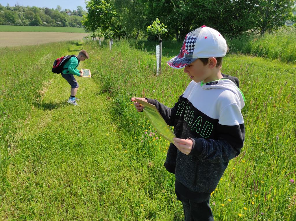 Badatelská výuka v přírodě, 25. 5. 2023