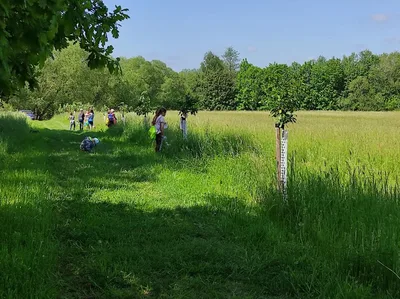 Badatelská výuka v přírodě, 25. 5. 2023