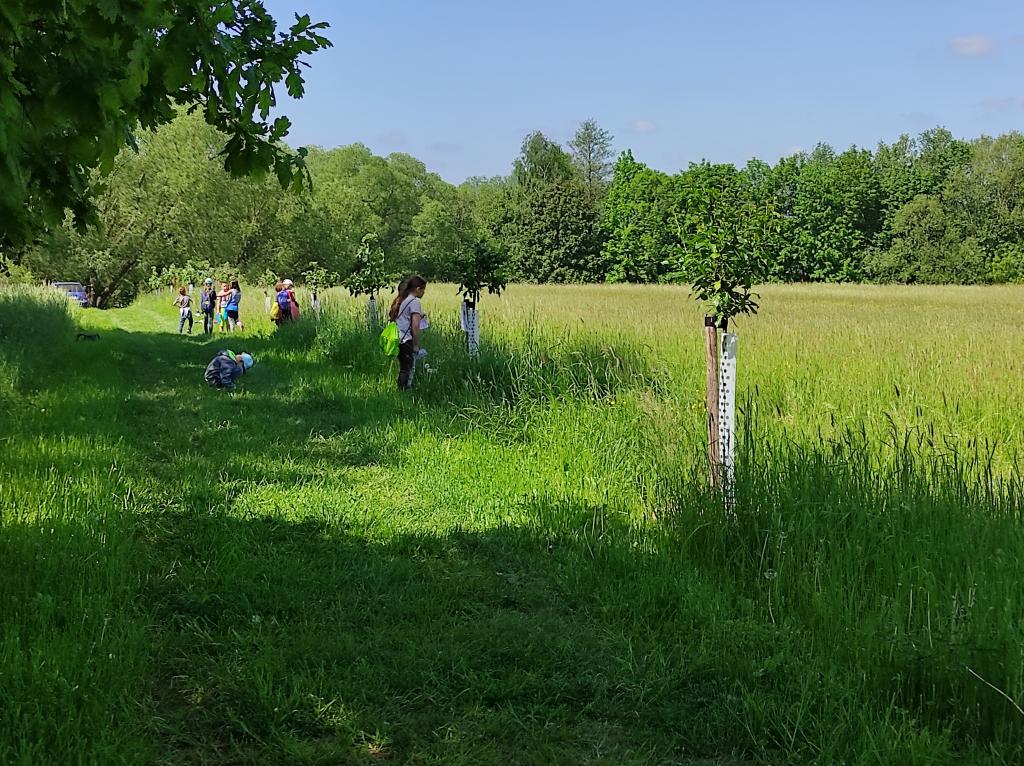 Badatelská výuka v přírodě, 25. 5. 2023