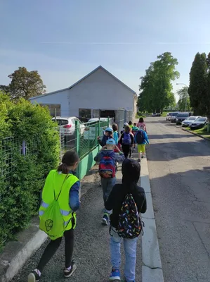 Badatelská výuka v přírodě, 25. 5. 2023