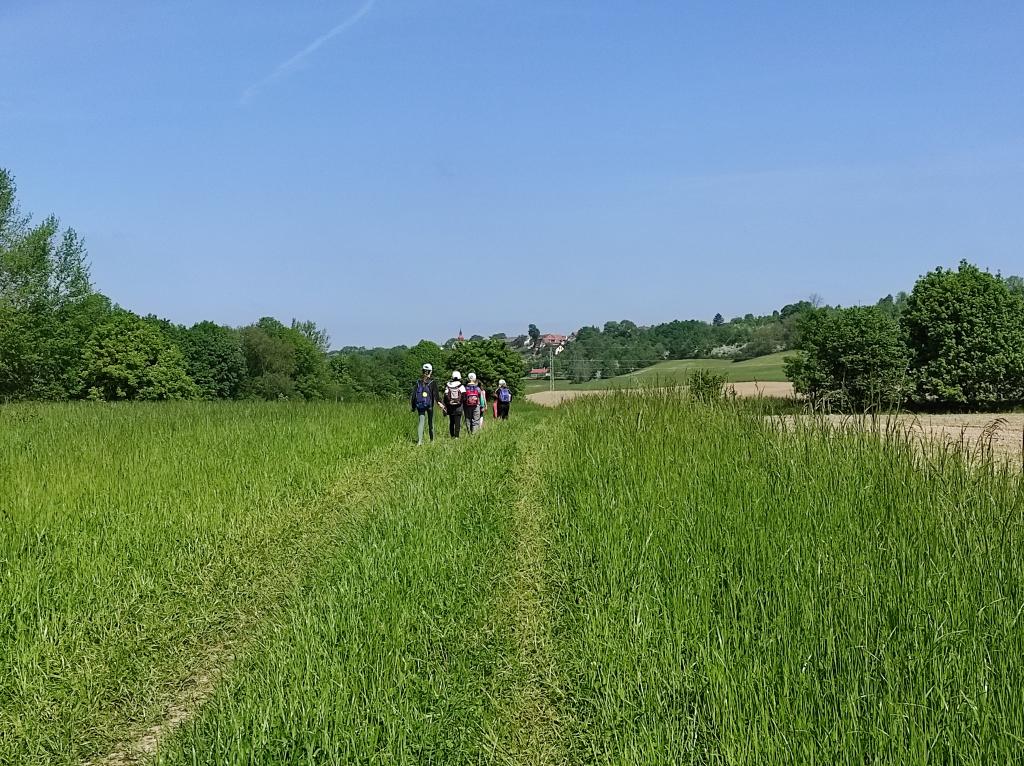 Badatelská výuka v přírodě, 25. 5. 2023