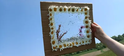 Badatelská výuka v přírodě, 25. 5. 2023