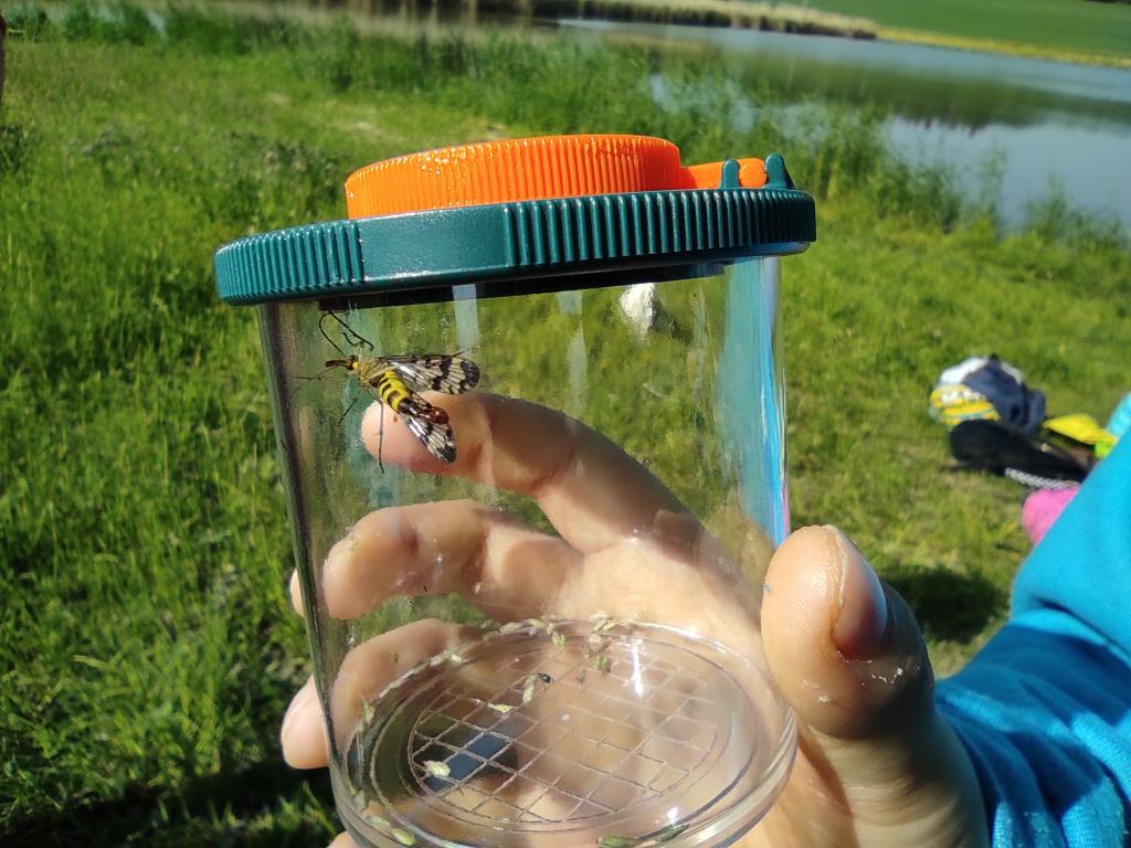 Badatelská výuka v přírodě, 25. 5. 2023
