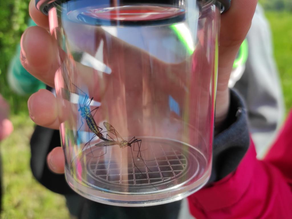 Badatelská výuka v přírodě, 25. 5. 2023