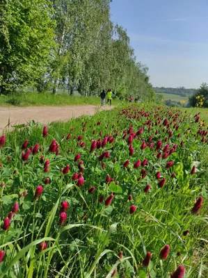 Badatelská výuka v přírodě, 25. 5. 2023