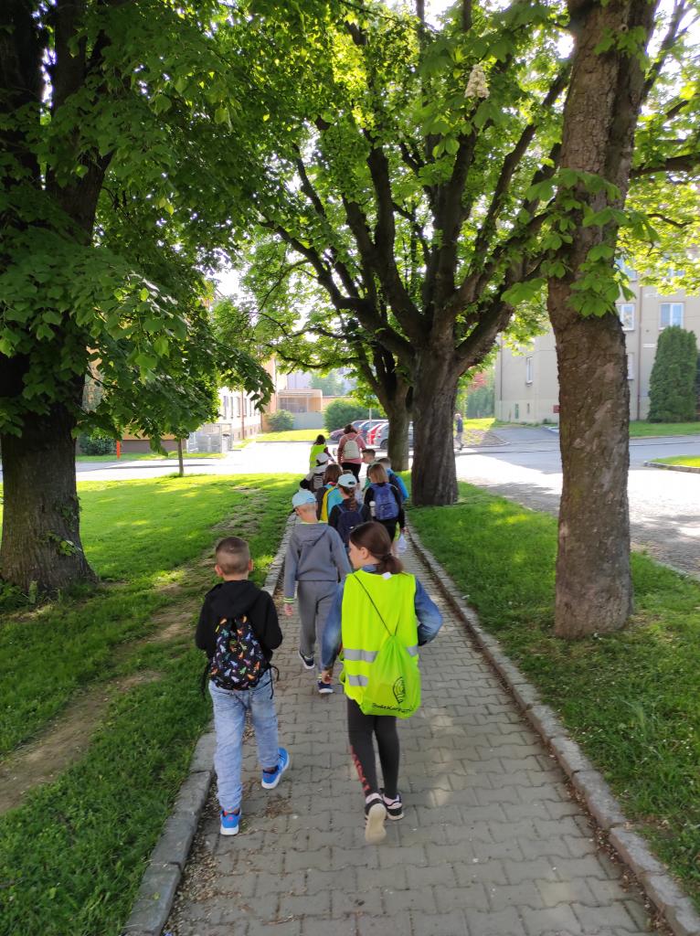 Badatelská výuka v přírodě, 25. 5. 2023