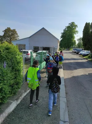 Badatelská výuka v přírodě, 25. 5. 2023
