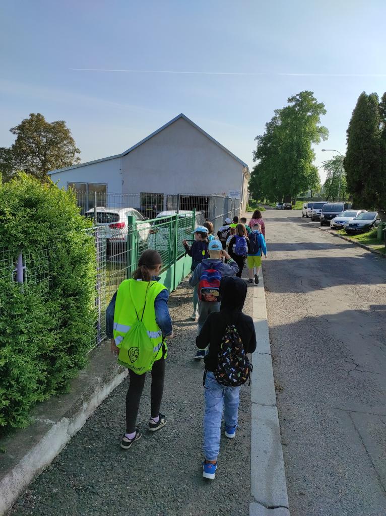 Badatelská výuka v přírodě, 25. 5. 2023