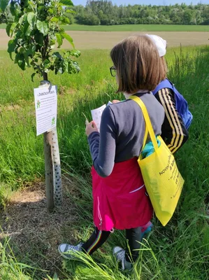 Badatelská výuka v přírodě, 25. 5. 2023