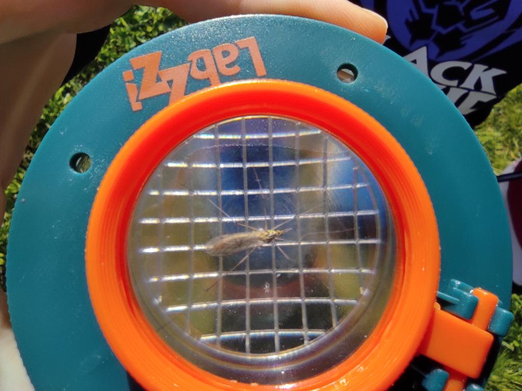 Badatelská výuka v přírodě, 25. 5. 2023