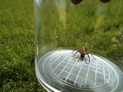 Badatelská výuka v přírodě, 25. 5. 2023