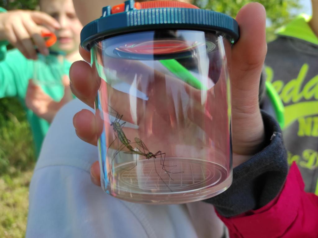 Badatelská výuka v přírodě, 25. 5. 2023