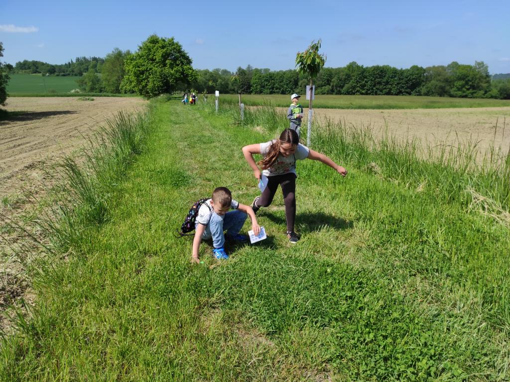 Badatelská výuka v přírodě, 25. 5. 2023