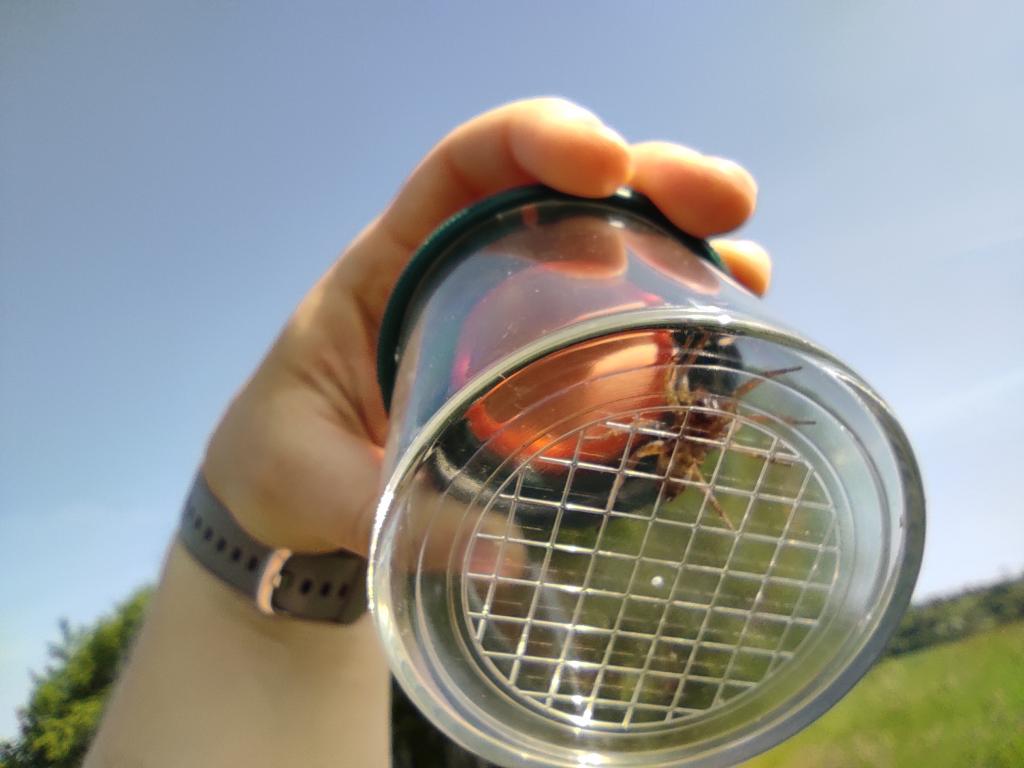 Badatelská výuka v přírodě, 25. 5. 2023
