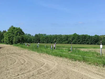Badatelská výuka v přírodě, 25. 5. 2023