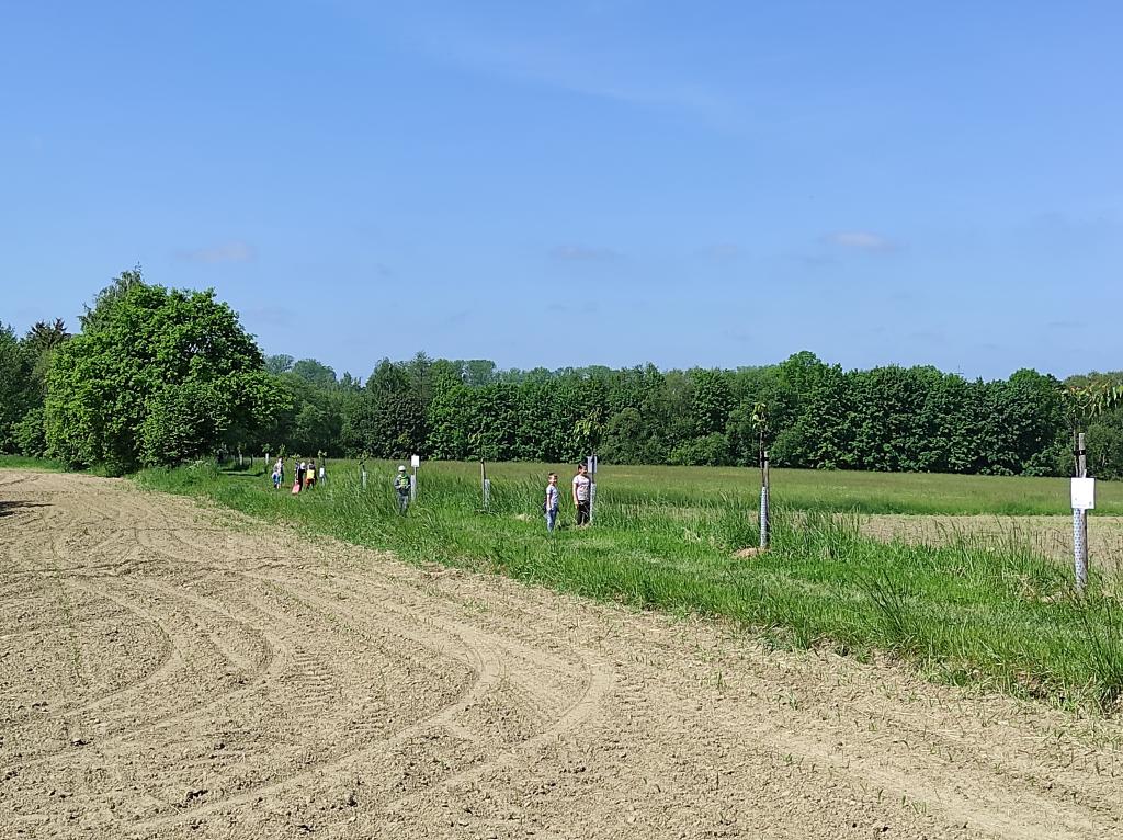 Badatelská výuka v přírodě, 25. 5. 2023