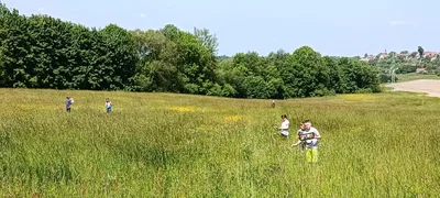 Badatelská výuka v přírodě, 25. 5. 2023