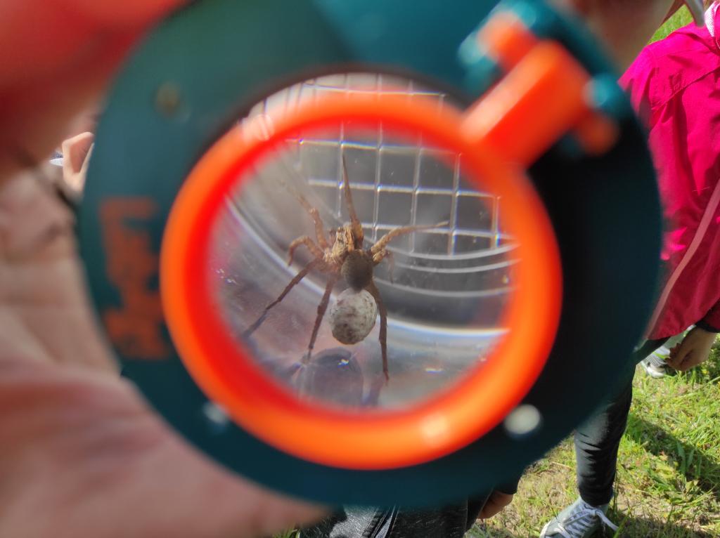 Badatelská výuka v přírodě, 25. 5. 2023