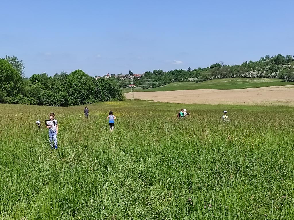 Badatelská výuka v přírodě, 25. 5. 2023