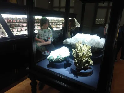 Exkurze - Praha - Národní muzeum, 10. 5. 2023