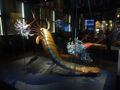 Exkurze - Praha - Národní muzeum, 10. 5. 2023