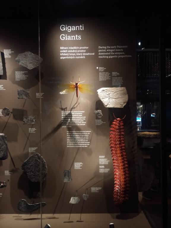 Exkurze - Praha - Národní muzeum, 10. 5. 2023