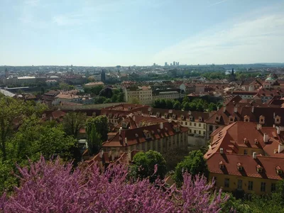 Exkurze - Praha - Národní muzeum, 10. 5. 2023