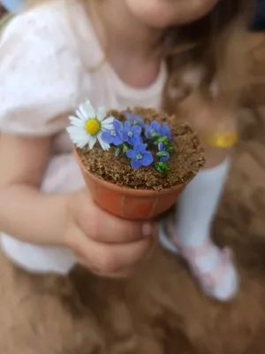 Hrátky s AJ, 22. 5. 2023