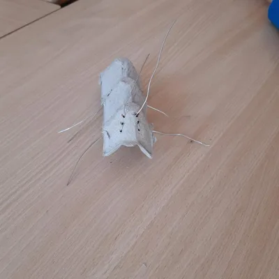 Mravenci v přípravné třídě, 31. 5. 2023