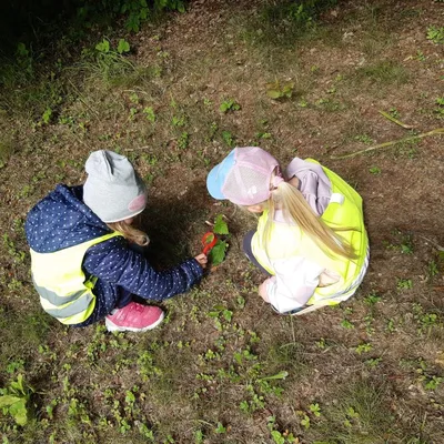 Co se děje v trávě - přípravná třída, 7. 6. 2023