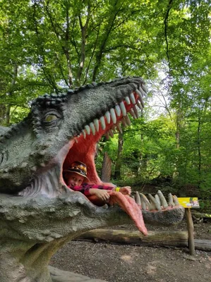 Dinopark a ZOO park Vyškov - 2. třída, 3.AB, 22. 6. 2023