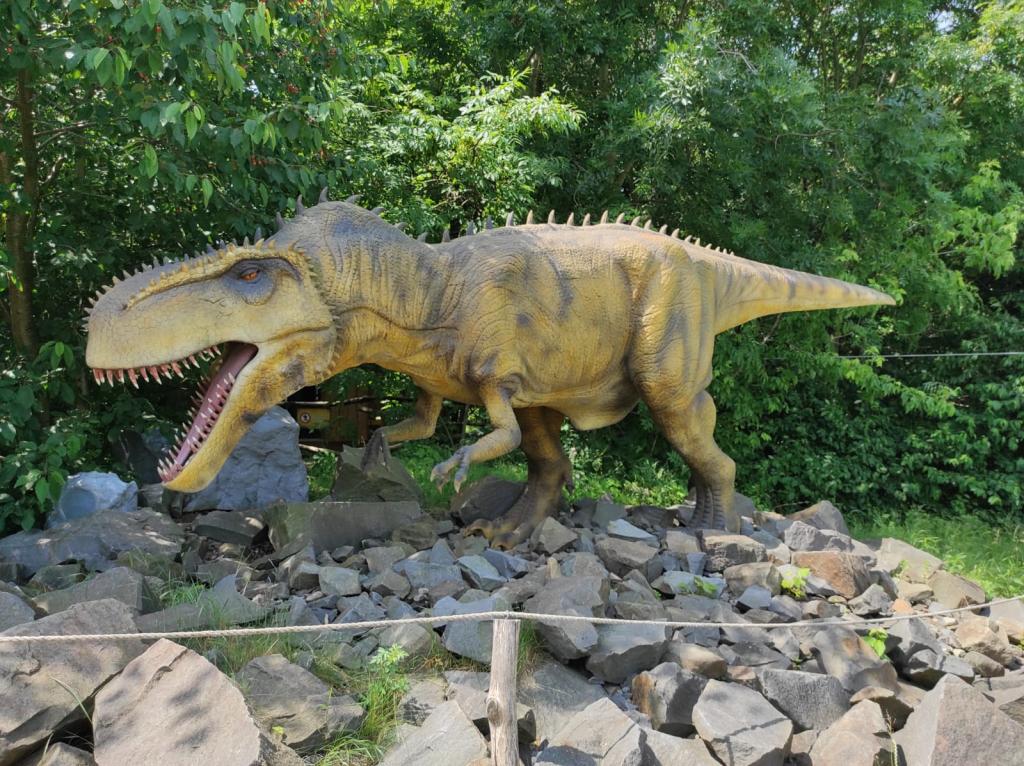 Dinopark a ZOO park Vyškov - 2. třída, 3.AB, 22. 6. 2023