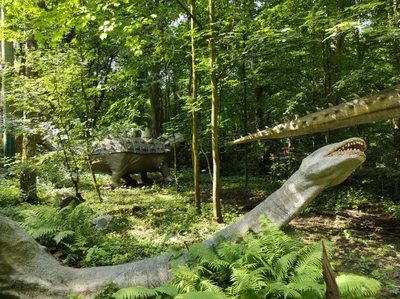 Dinopark a ZOO park Vyškov - 2. třída, 3.AB, 22. 6. 2023