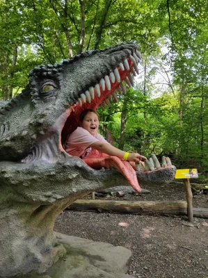 Dinopark a ZOO park Vyškov - 2. třída, 3.AB, 22. 6. 2023