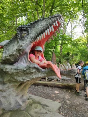 Dinopark a ZOO park Vyškov - 2. třída, 3.AB, 22. 6. 2023
