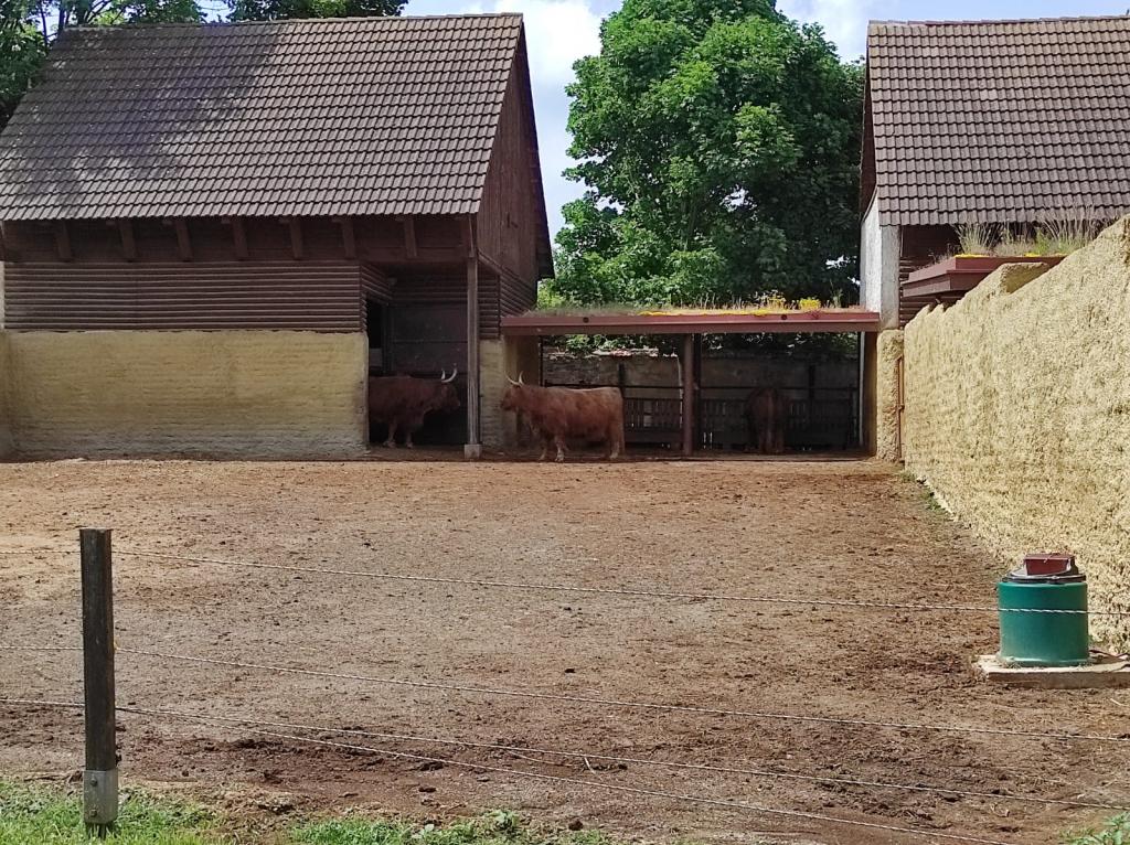 Dinopark a ZOO park Vyškov - 2. třída, 3.AB, 22. 6. 2023