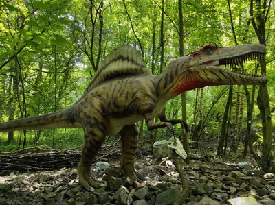 Dinopark a ZOO park Vyškov - 2. třída, 3.AB, 22. 6. 2023