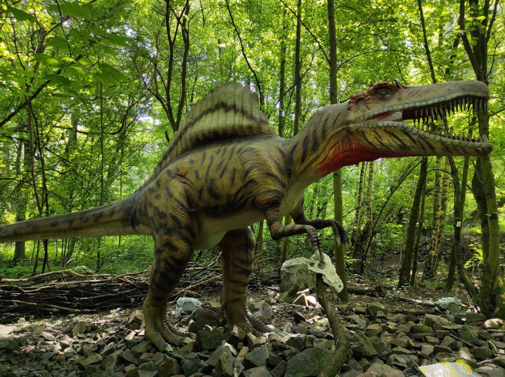 Dinopark a ZOO park Vyškov - 2. třída, 3.AB, 22. 6. 2023